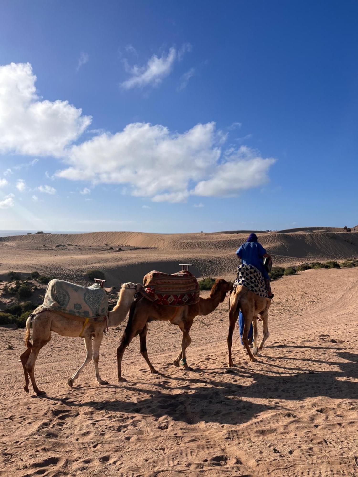 Nizar Surf Morocco Pansiyon Taghazout Dış mekan fotoğraf